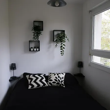 Avec Vue Sur Le Lez Apartament *